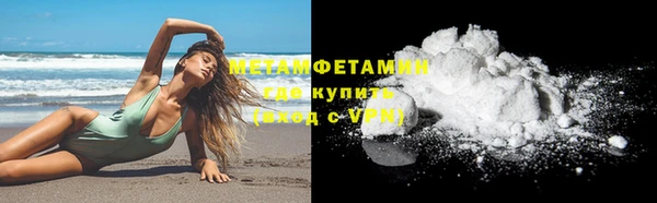 стаф Тайга