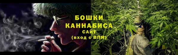 хмурый Белокуриха