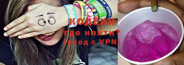 хмурый Белокуриха