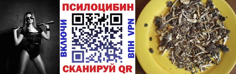 Галлюциногенные грибы мицелий  KRAKEN tor  Клинцы 